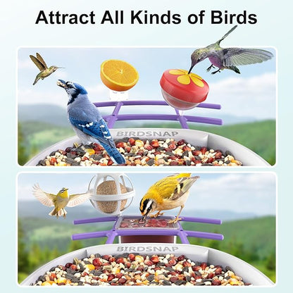 birdsnap® PAV-Bird Feeder with Camera,2K HD with 64GB Card, AI Identify Smart Bird House Cam Solar Panel,Live Stream,Motion Detection,Auto Record Video for Backyard Outdoors,Ideal Gift for Bird Lover