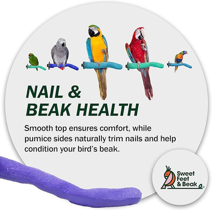 Sweet Feet & Beak Safety Pumice Bird Perch, Medium 1-1/4" X 12", Lightweight Grinding Bird Perches for Cage - Bird Nail Trimming Perch for Healthy Beak & Feet - Multi-Size & Color Parrot Stand - Blue