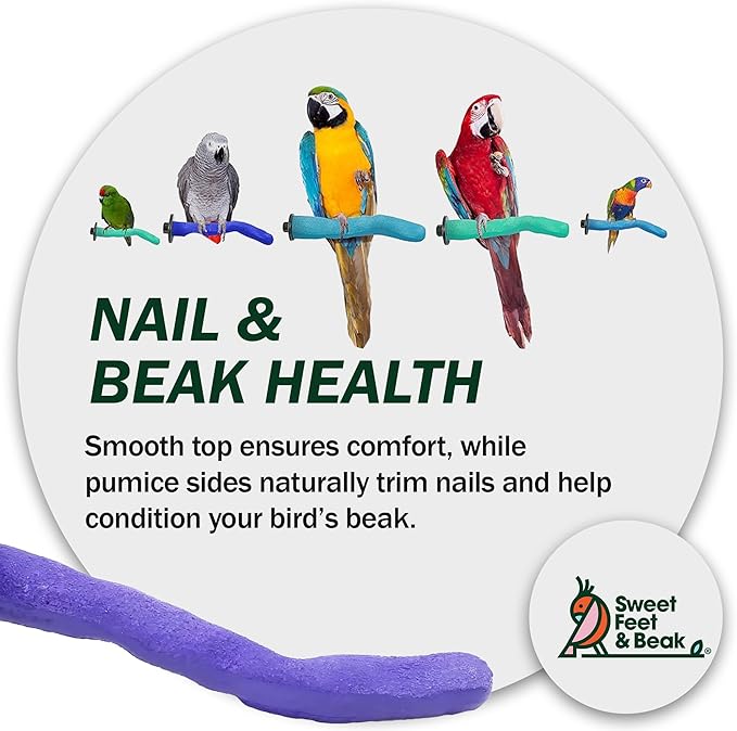 Sweet Feet & Beak Safety Pumice Bird Perch, X-Small 1/2" X 6", Lightweight Grinding Bird Perches for Cage - Bird Nail Trimming Perch for Healthy Beak & Feet - Multi-Size & Color Parrot Stand - Purple