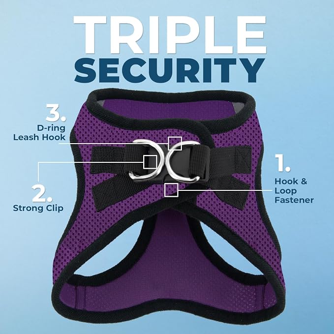 Best Pet Supplies Voyager Step-in Air All Weather Mesh Harness and Reflective Dog 5ft Leash Combo with Neoprene Handle, for Small, Medium and Large Breed Puppies - Purple/Black Trim, Large