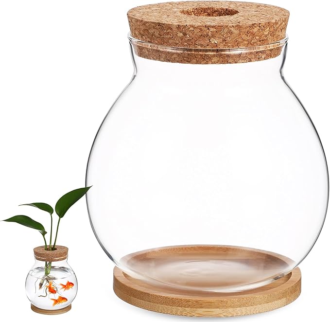 Beavorty Desktop Fish Tank Small Glass Fish Bowl with Cushion 5.51X5.11X1.18In Hydroponic Plant Terrarium Betta Bowl for Home Office Decoration