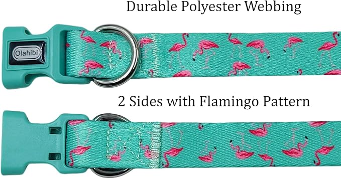 Dog Collar Leash Set, Flamingo Pattern, Polyester Material, Adjustable Collar and 5ft Matching Leash, for Medium Dogs.(M, Green Flamingo)