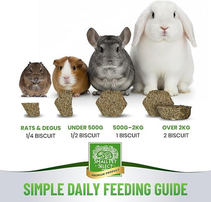 Small Pet Select - Select Care Vitamin C Support Supplement, Natural High Fiber Timothy Hay Based Treats for Rabbits, Guinea Pigs, Hamsters, Other Small Animals, 4.2 oz