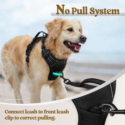 rabbitgoo Dog Harness No Pull with 2 Leash Clips, Adjustable Soft Padded, Reflective Oxford No Choke Pet Vest with Easy Control Handle for Large Dogs, Black, L