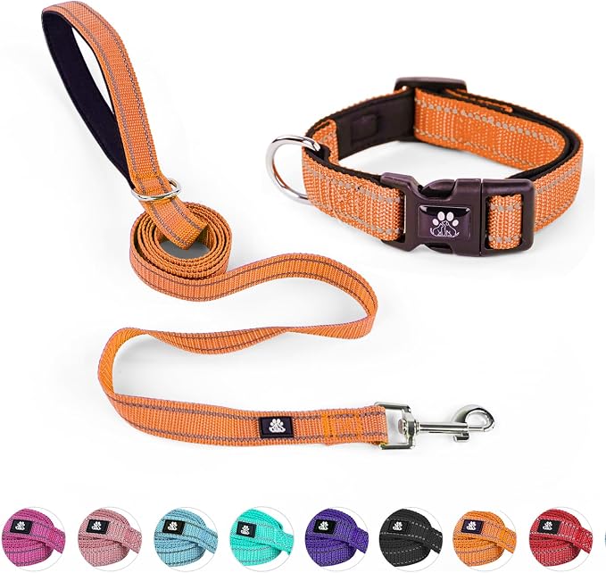 NESTROAD Dog Collar and Leash Set,Reflective Dog Collars with Quick Release Buckle,Adjustable Nylon Pet Collar for Small Medium Large Dogs(Large,Orange)