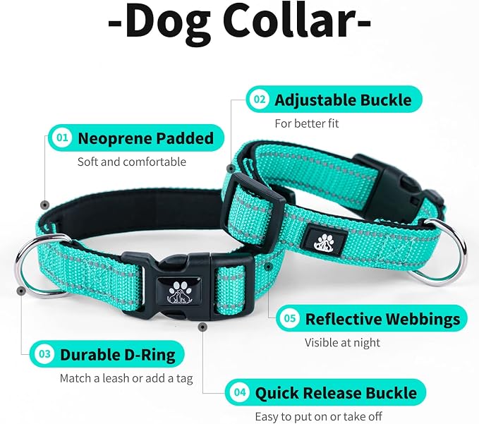 IVY&LANE Reflective Dog Collar and Leash Set,Adjustable Neoprene Padded Dog Collars for Puppy, Breathable Nylon Pet Collar for Small Medium Large Dogs(Large,Teal)