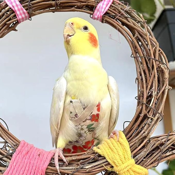 Bird Flight Suits Diapers, Parrot Flight Suits Diapers for Quaker Parakeets Cockatiels Conures Macaw African Grey, Bird Diaper, Parrot Clothes (Red A,Sulphur-Crested Cockatoo)