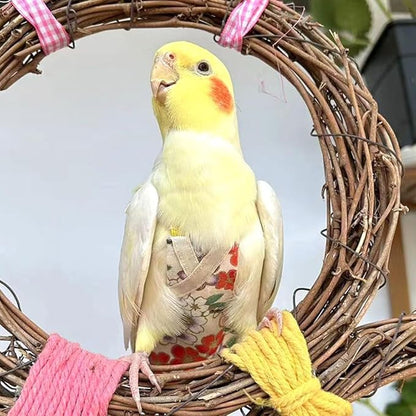 Bird Flight Suits Diapers, Parrot Flight Suits Diapers for Quaker Parakeets Cockatiels Conures Macaw African Grey, Bird Diaper, Parrot Clothes (Green B,M)