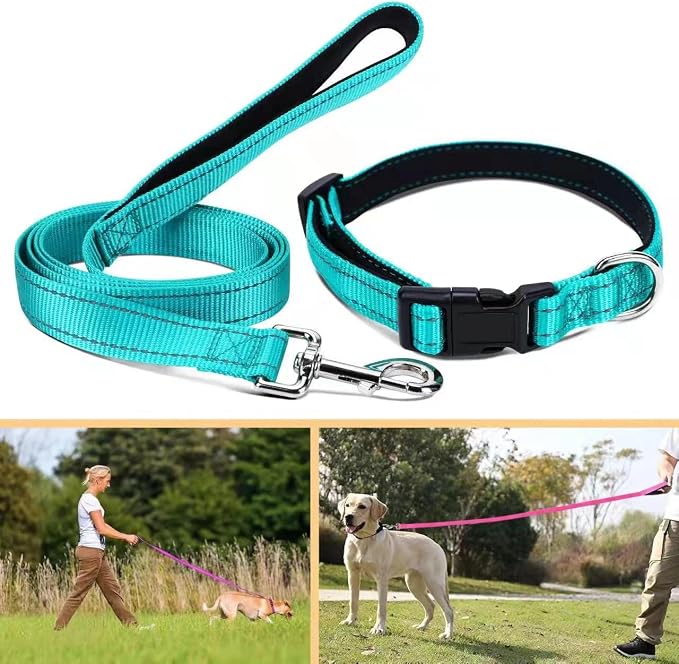 Soft Neoprene Padded Dog Collar and Leash Set for Small Medium Large Dogs, Reflective Durable Nylon Dog Collar with 5ft Leash Easy for Walking, Teal,Neck fit 12.5-19.5’’