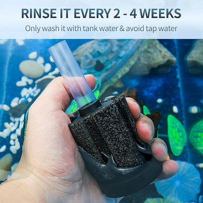 Pawfly Aquarium Sponge Filter, Small Fish Foam Filter with Tubing Suction Cup Check Valve Connector and Control Valve Accessories for Betta Fry Shrimp Tiny Fish Tank up to 10 Gallons