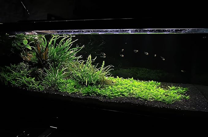 Ultum Nature Systems Controsoil - Freshwater Aqua Soil Substrate for Fish, Shrimp, Live Plant Propagation and Aquascaping - 6.8pH Low Ammonia, Volcanic Ash - Black, Normal (1 Liter)