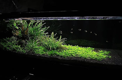 Ultum Nature Systems Controsoil - Freshwater Aqua Soil Substrate for Fish, Shrimp, Live Plant Propagation and Aquascaping - 6.8pH Low Ammonia, Volcanic Ash - Black, Normal (1 Liter)