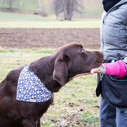 Pettsie Hemp Dog Bandana Collar & Matching Owner Friendship Bracelet | Matching Friendship Bracelet, Adjustable, Durable Hemp, Soft & Comfortable, Secure D-Ring, Blue