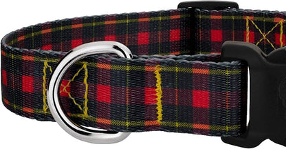 Country Brook Petz - Buffalo Plaid Everyday Dog Collar and Leash - Plaid and Argyle Collection Featuring Charming Designs (1/2 Inch, 2XS)