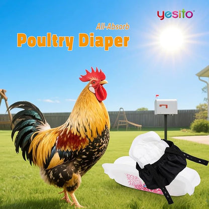 Adjustable Chicken Harness Diaper (5.4ft Leash) – Breathable & Washable Secure Training for Hens, Ducks & Chicks | Outdoor Walking & Discipline Solution,Black