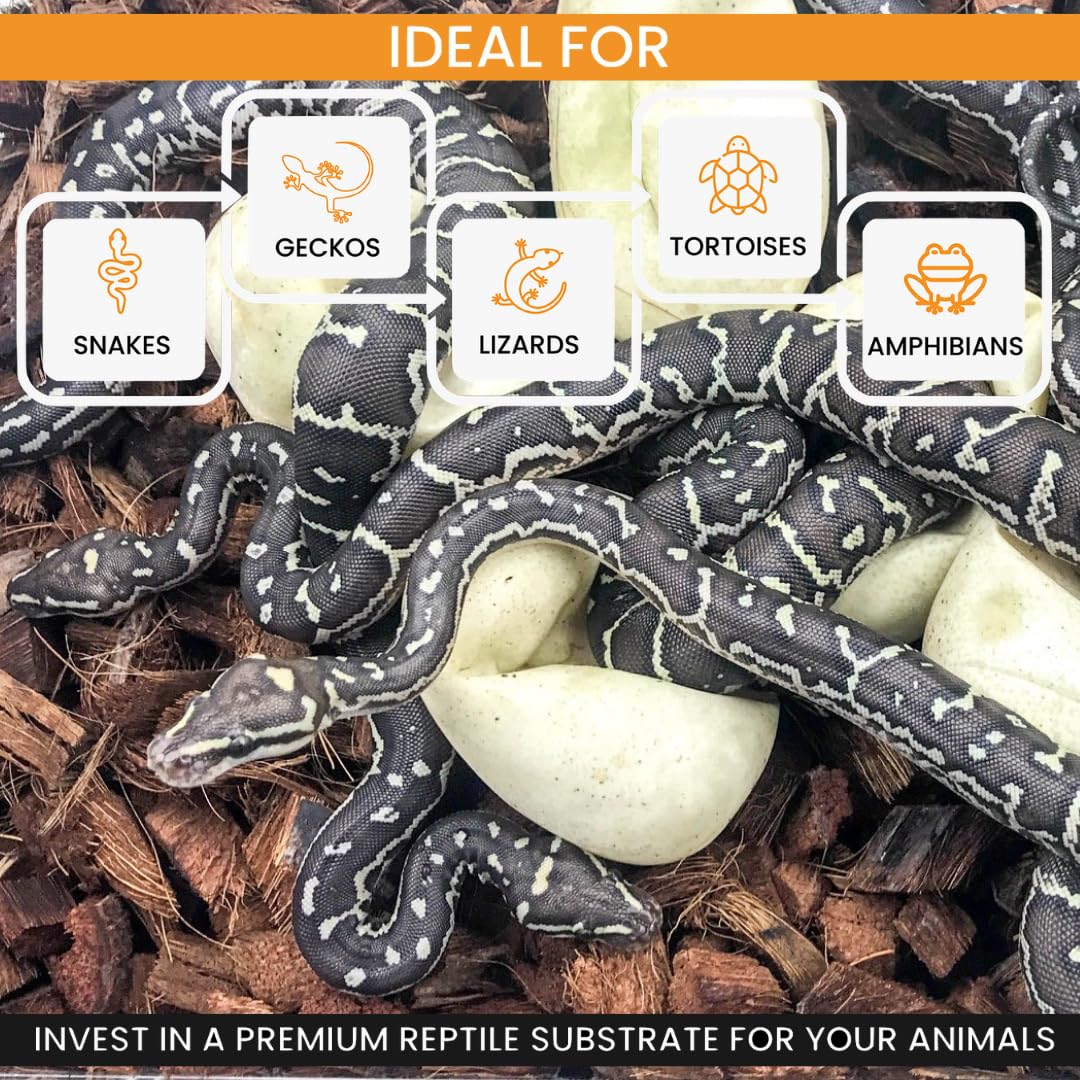 ReptiChip Reptile Bedding Loose Coconut Chip 36 Quart 4 Pack Coco Husk Substrate Mulch for Snake Habitat, Ball Python Terrarium, Turtle Tanks, Tortoise Enclosure