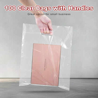 MLAFLY Clear Plastic bags with handle 100 Pack Clear Gift Bags for Small Business Shopping Merchandise Bags for Packaging Products Retail Boutique (Medium(12x15))