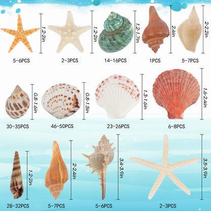 Fangoo 1.5 LB Mixed Sea Shells, 130+ PCS Beach Seashells Starfish Oyster Shells Various Sizes Ocean Seashells for Fish Tank Vase Fillers Beach Theme Party Wedding Decor DIY Crafts Home Decorations