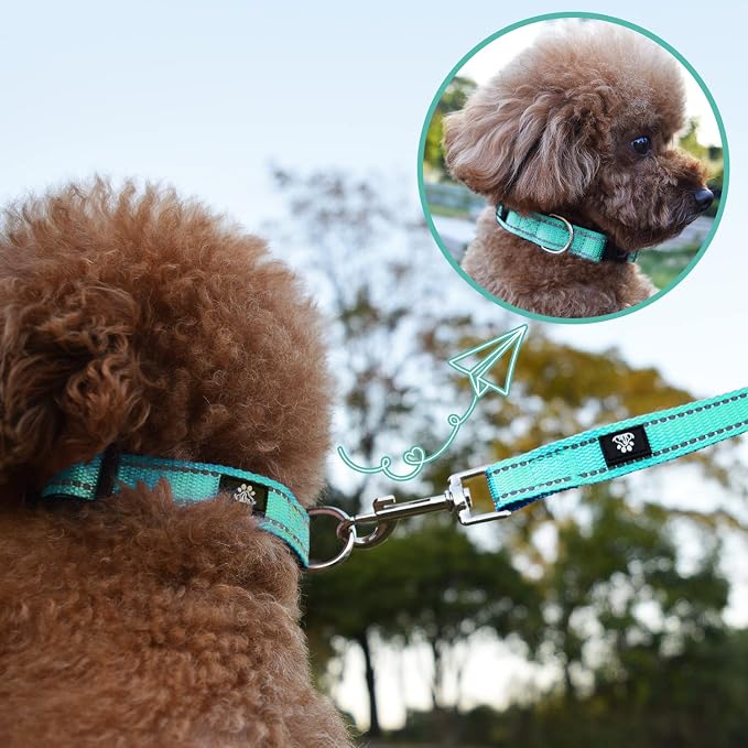 NESTROAD Dog Collar and Leash Set,Reflective Dog Collars with Quick Release Buckle,Adjustable Nylon Pet Collar for Small Medium Large Dogs(Small,Teal)