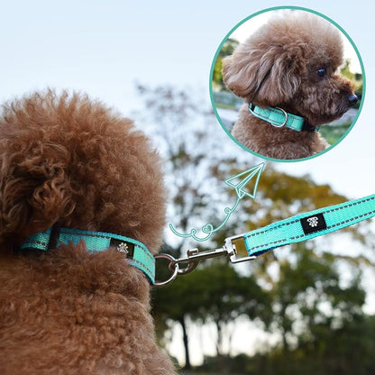 NESTROAD Dog Collar and Leash Set,Reflective Dog Collars with Quick Release Buckle,Adjustable Nylon Pet Collar for Small Medium Large Dogs(Medium,Teal)