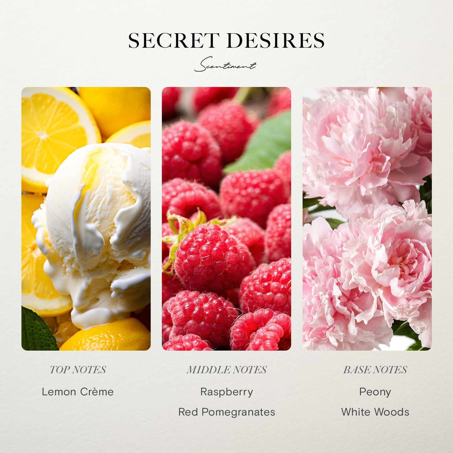 Scentiment Hotel Diffuser Oil Discovery Kit | Inspired by Elite Five Star & Luxury Hotel Scents | Aromatherapy Oils with Notes of Cardamom, Tuscan Leather, and Sandalwood (20ml, Top 5 Scents)