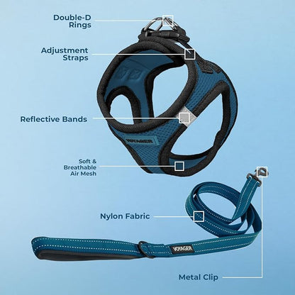 Best Pet Supplies Voyager Step-in Air All Weather Mesh Harness and Reflective Dog 5ft Leash Combo with Neoprene Handle, for Small, Medium and Large Breed Puppies - Blue/Black Trim, Small
