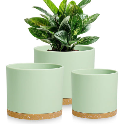 DGJDLWHX Large Plant Pots Set of 3 – 8", 9", 10" Indoor Flower Pots with Drainage Holes and Saucers, Big Planters for Monstera, Fiddle Leaf Fig, Snake Plant – 5 Colors