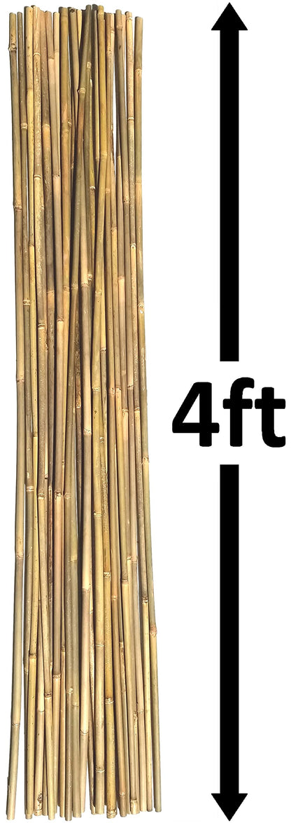 Dlh Western Natural Bamboo Poles, Eco-Friendly Plant Support Garden Stakes 4ft Long, Diameter of 3/8" (25-Count)