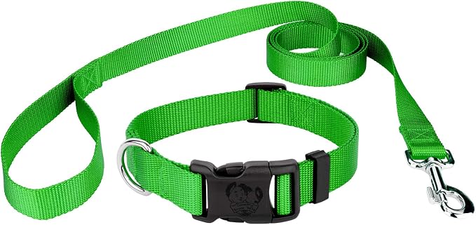 Country Brook Petz - Everyday Nylon Dog Collar and Leash - 10+ Cool Colors (3/8 Inch, 3XS, Hot Lime Green)