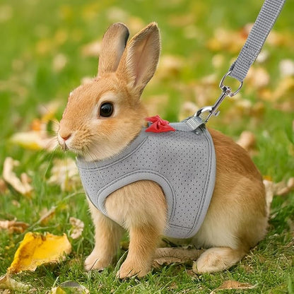 Light Blue Rabbit Harness and Leash Set, with Cute Bow Soft Breathable Mesh Bunny Vest Harness for Rabbits Kitten Ferret Puppy Small Pets Walking, L
