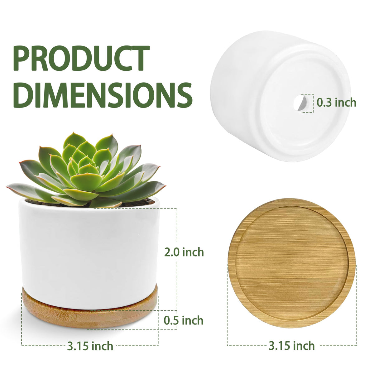 EVIHCG Retirement Gifts Planter Pots, Retired Gifts for Women, A Wise Woman Once Said Retirement Ceramic Succulent Plant Flower Planters for Home Office Desk Table Shelf(No Plants)
