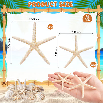 24 Pcs Starfish for Crafts, 2'' to 4'' Star Fish Shells Decorations, Natural Starfish Decor Bulk for Beach Theme DIY Crafts Christmas Tree Ornaments