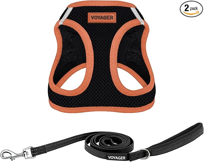 Best Pet Supplies Voyager Step-in Air All Weather Mesh Harness and Reflective Dog 5ft Leash Combo with Neoprene Handle, for Small, Medium and Large Breed Puppies - Set (Black/Orange Trim), Large