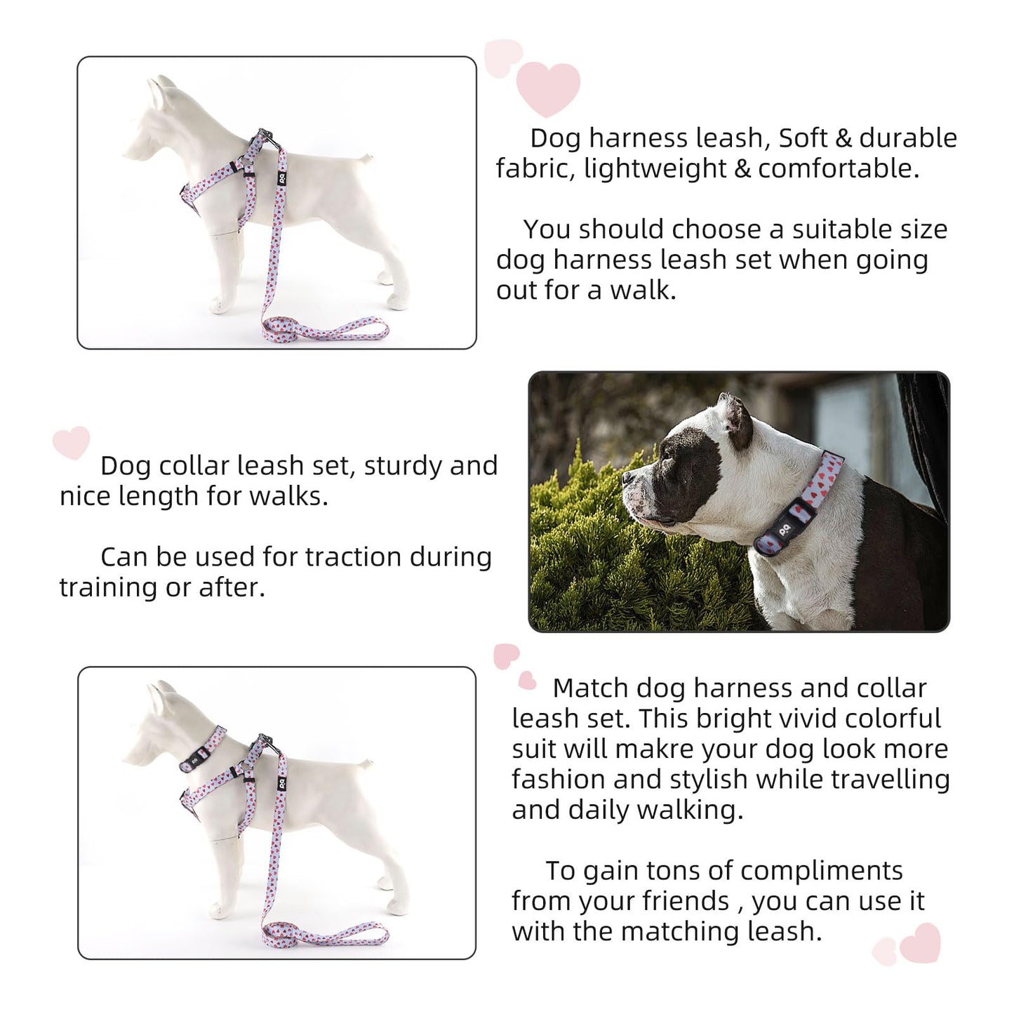 QQPETS Dog Harness Collar Leash - No Pull Pet Adjustable Back Clip Halter Basic Collar Heavy Duty 5FT Anti-Twist Leash for Extra Small Puppy Medium Large Breed Training Easy Walk(S,Blue Love)