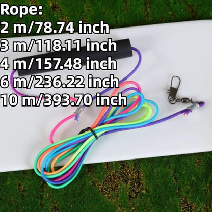 Pet Parrot Bird Harness and Leash, Adjustable Training Design Anti-Bite, Bird Nylon Rope with Cute Wing and Colorful Leash for Parrots Lovebird Cockatiel Conure Budgie (Purple with 78.7inch Leash,S)