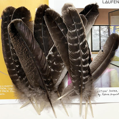 Turkey Wing Feathers,Natural Big Long Feather,11-13 inches (28-33cm),Large Size Bilateral Feathers,Left and Right Wings for Crafts,Bulk 12pcs (Natural Turkey Wing-1)