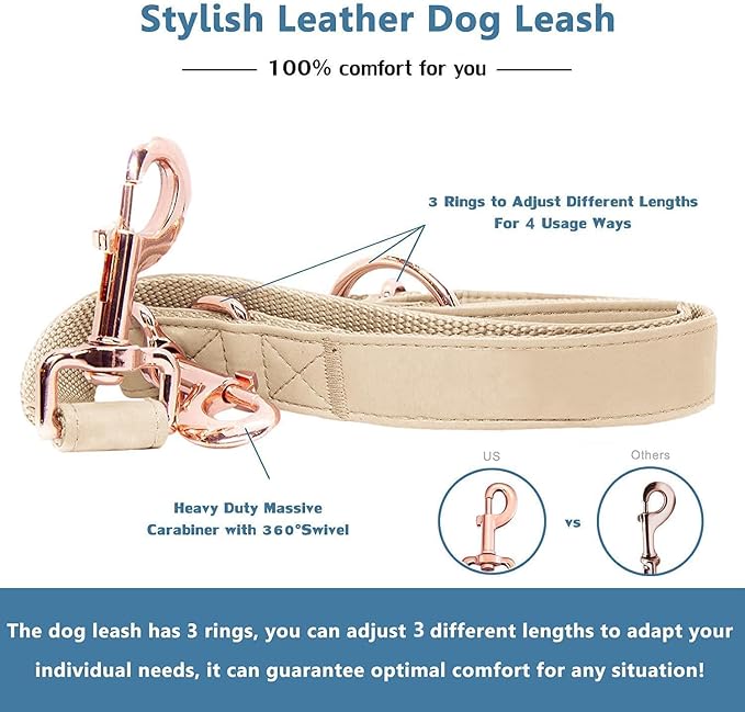 Soft Leather Dog Collar and Leash (6.6') Set - Stylish Rose Gold Heavy Duty Metal Buckle, 4 Adjustable Lengths Leash for Small Medium Large Dogs - Comfortable & Easy to Clean Beige S(12.2"-16.9")