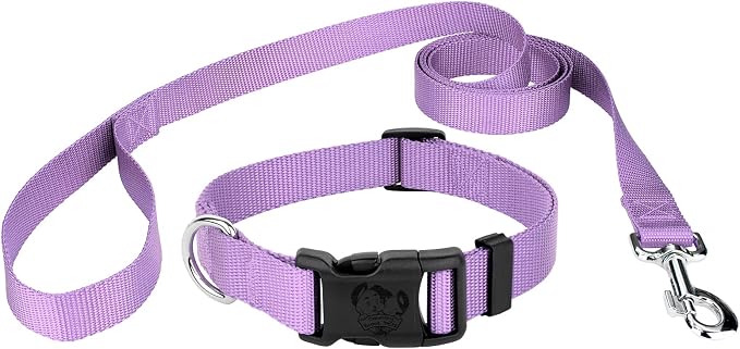 Country Brook Petz - Everyday Nylon Dog Collar and Leash - 10+ Cool Colors (3/8 Inch, 3XS, Lavender)
