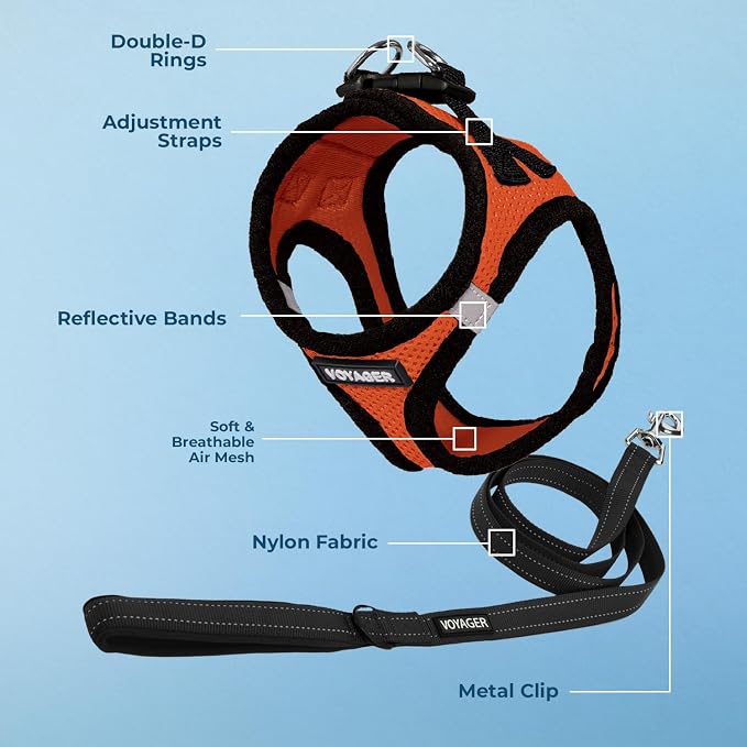 Best Pet Supplies Voyager Step-in Air All Weather Mesh Harness and Reflective Dog 5ft Leash Combo with Neoprene Handle, for Small, Medium and Large Breed Puppies - Orange/Black Trim, Large