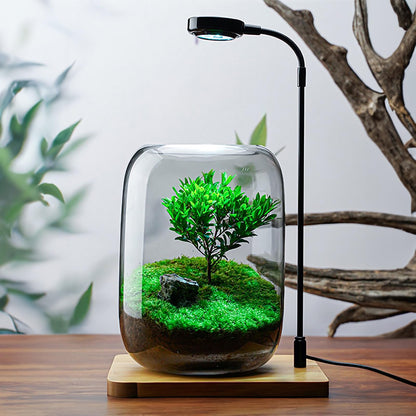 SARUFO Glass Plant Terrarium Kit, 6.3"X8.6" Micro-Landscape Vase with Light, Snowman and Pine Trees, for Home Office Tabletop Decoration, Wardian, Unique