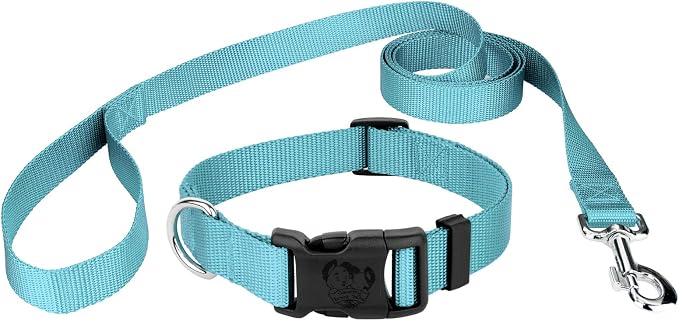 Country Brook Petz - Everyday Nylon Dog Collar and Leash - 10+ Cool Colors (3/8 Inch, 2XS, Ocean Blue)