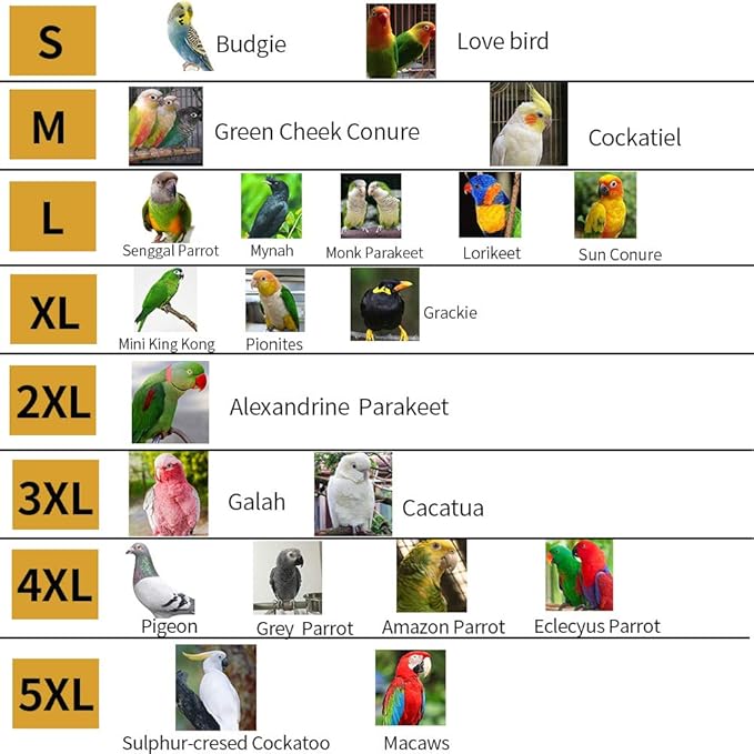 Bird Flight Harness Vest, Parrot Flight Suit with Leash, Bird Flying Clothes with Rope and Handle for Outdoor Activities (Without Leash,Cockatiel) (Without, 4XL)