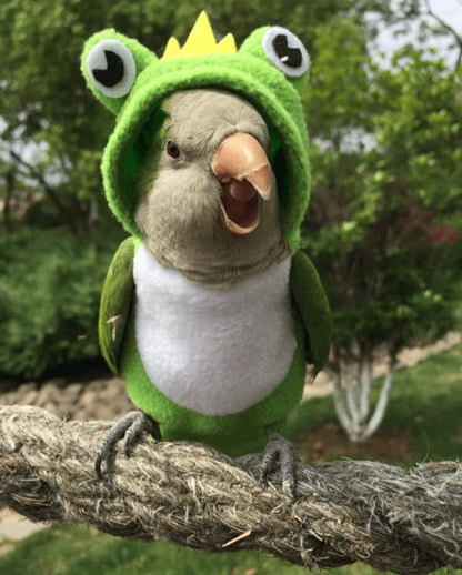 Bird Costume Diaper Flight Suit Frog Shape Hoodie Clothes Cosplay Photo Prop for Parrots Parakeet Cockatiel Sun Conure, Small Animals Apparel (Green with Diaper, Small), (BPF1)