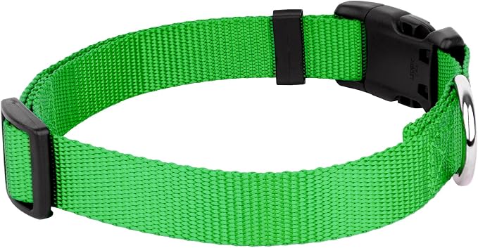 Country Brook Petz - Everyday Nylon Dog Collar and Leash - 10+ Cool Colors (3/4 Inch, Small, Hot Lime Green)