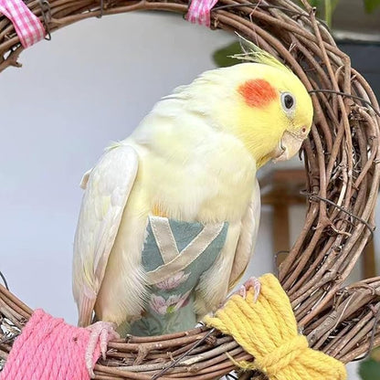 Bird Flight Suits Diapers, Parrot Flight Suits Diapers for Quaker Parakeets Cockatiels Conures Macaw African Grey, Bird Diaper, Parrot Clothes (Grey A,Macaw)
