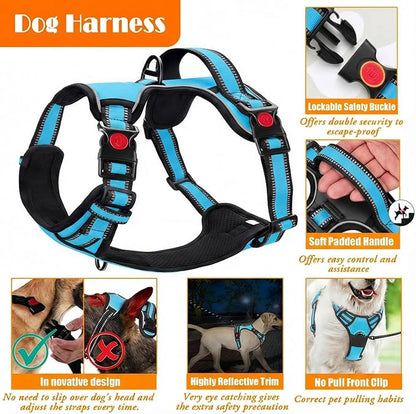 LOBEVE No Pull Dog Harness, Collar & Leash Set | Includes Dog Seat Belt, Collapsible Bowls & Poop Bag Dispenser. Ideal for Training, Walking, Hiking. Fits Small to Large Dogs(Blue-XL)