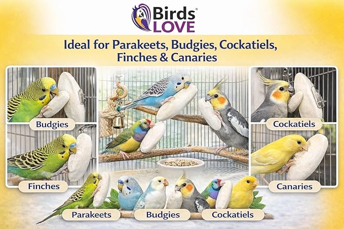 Birds LOVE 7.5-8" Cuttlebone for Birds – 100% Natural Sun-Dried Calcium Carbonate Mineral Supplement – for Parakeets, Budgies, Cockatiels, Finches & Canaries – 12 Pack with Holder – Made in Vietnam