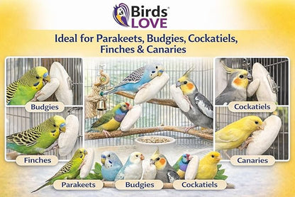 Birds LOVE 5.5-6″ Cuttlebone for Birds – 100% Natural Sun-Dried Calcium & Beak Conditioning Supplement for Parakeets, Budgies, Cockatiels, Finches & Canaries – 12 Pack with Holder – Made in Vietnam