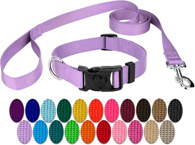 Country Brook Petz - Everyday Nylon Dog Collar and Leash - 10+ Cool Colors (3/4 Inch, Medium, Lavender)