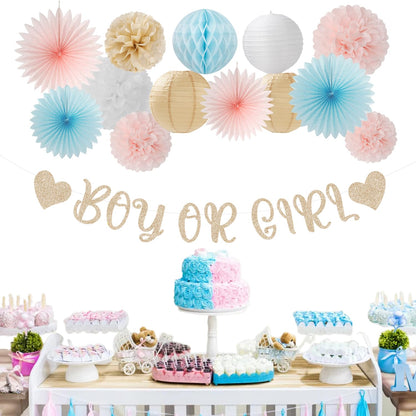 Light-Pink Blue Champagne Gender-Reveal Party-Decorations - 22pcs Boy Or Girl Banner,Neutral Paper Lanterns Streamers,Tissue Pom Poms Flowers Fans Bear Theme Decor Supplies Hugmoon